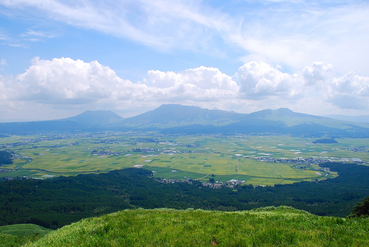 حصيرة المائدة هاناغوزا من أسل الإيغوسا في ياتسوشيرو: أسل كوماموتو المنسوج [2026]