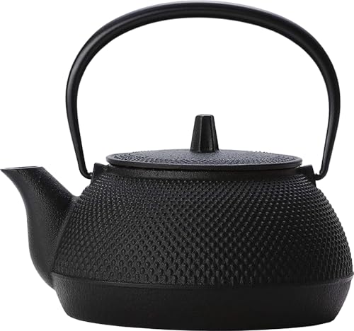 Nambu Tekki Gusseisen-Teekanne (Kyusu): Iwates emailliertes Eisen zum Teeaufbrühen [2026]