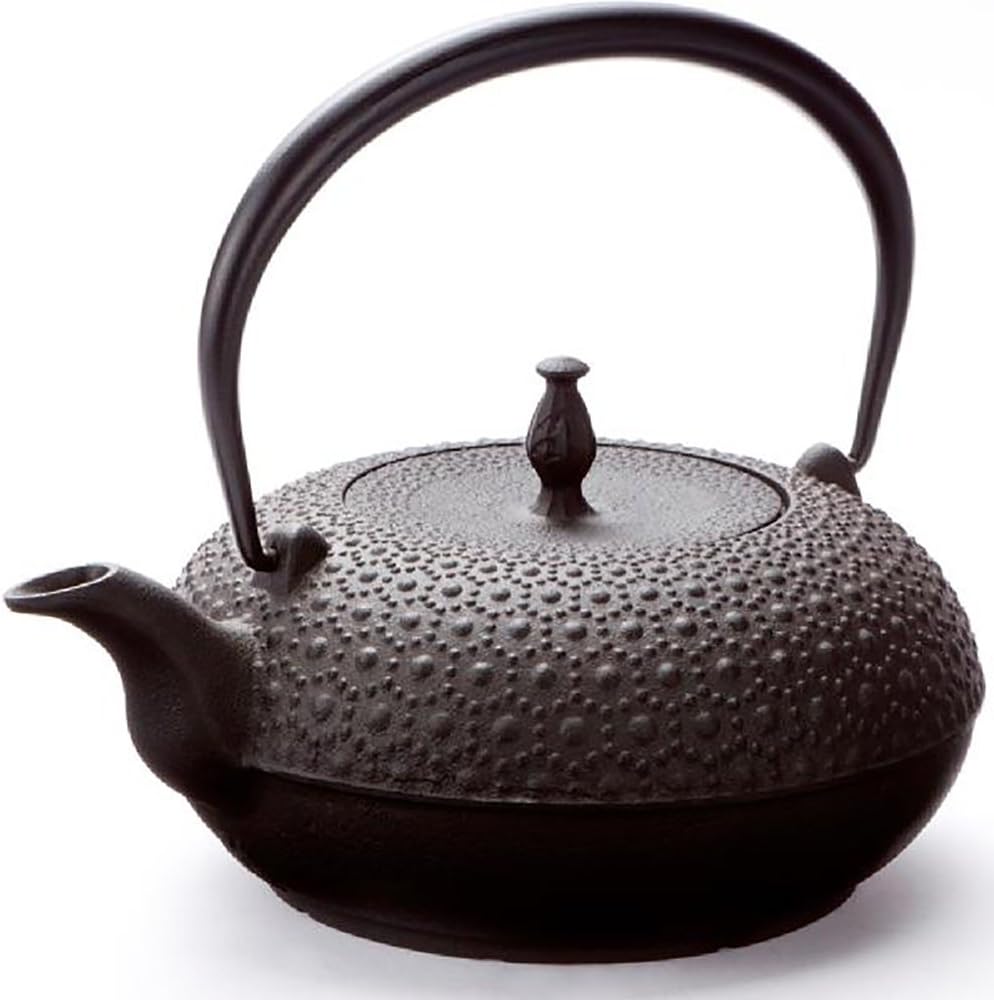 Bouilloire en fonte Oigen Nambu Tetsubin (H-200, Shinonome Kikkou, 1,0 L, ¥16,900 / ≈$113 USD) — Les 900 ans de tradition du fer d’Iwate, de Hiraizumi à votre cuisine [Guide 2026 pour lecteurs internationaux]