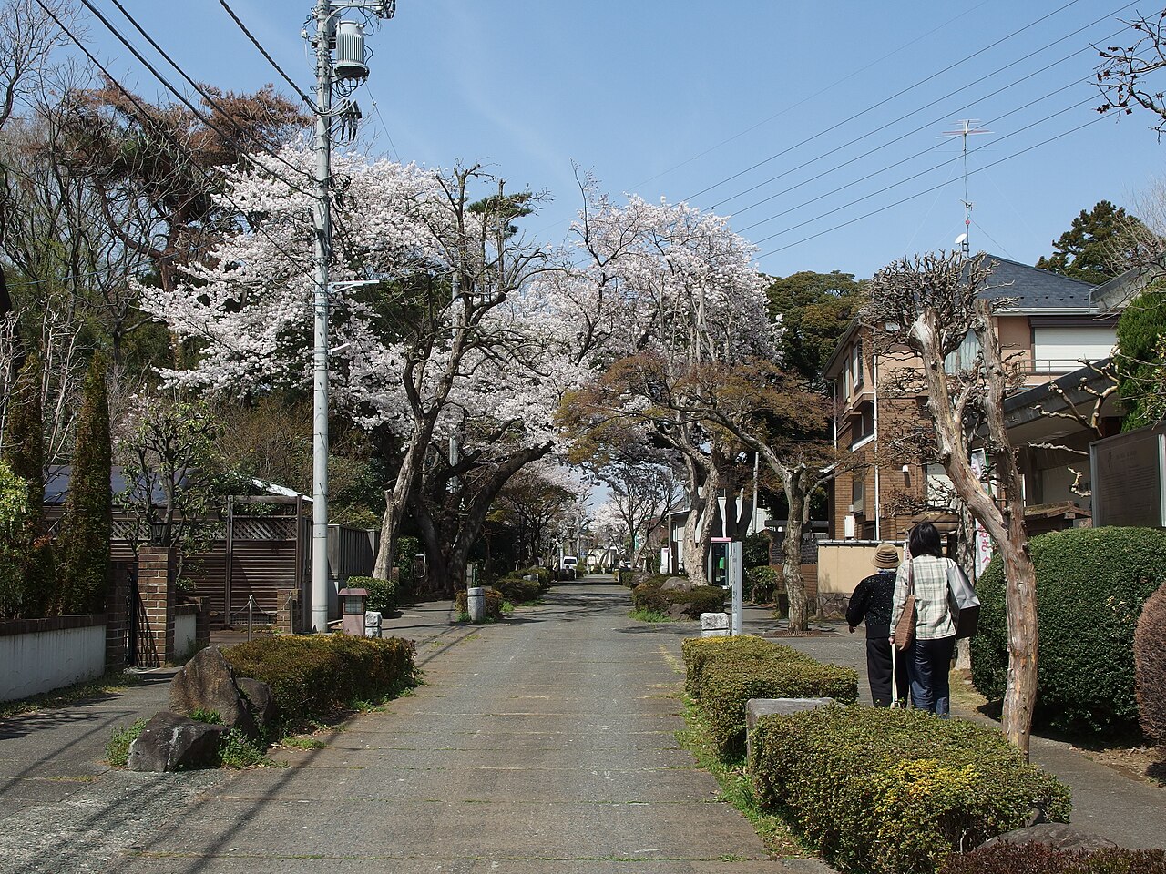 Ciseaux à bonsaï japonais : les sécateurs à brindilles Koeda d’Omiya, Saitama [2026]