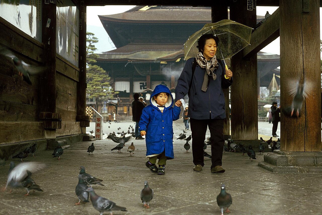Nata Shinshu Uchihamono : le guide de la hachette japonaise forgée à la main [2026]