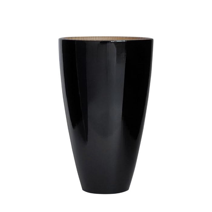 Obi Cedar (Obi-Sugi) Wooden Tumbler: Miyazaki Cedar Woodwork, Where to Buy [2026]