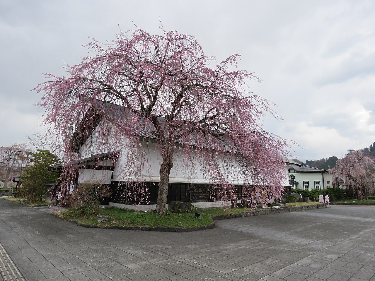 Le quartier samouraï préservé de Kakunodate à Akita