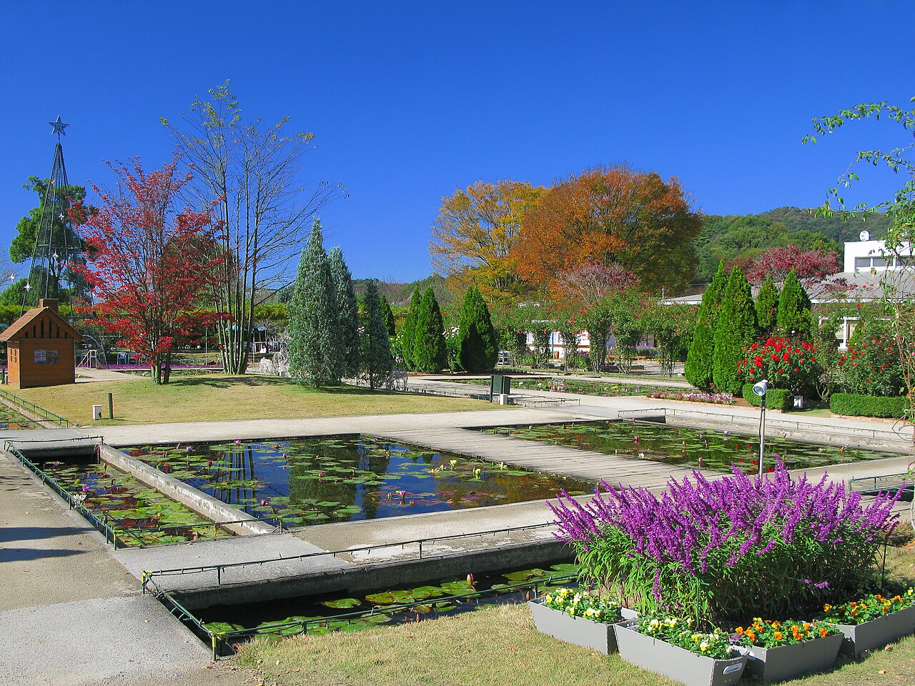 L'Ashikaga Flower Park, emblème moderne de la ville d'Ashikaga