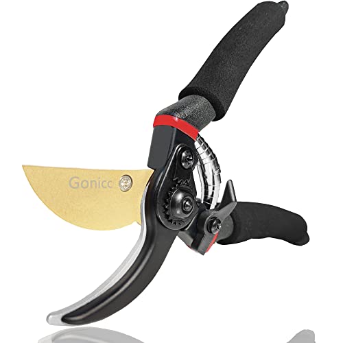 Banshu Miki Bonsai Pruning Shears: Hyogo Hand-Forged Blades [2026]