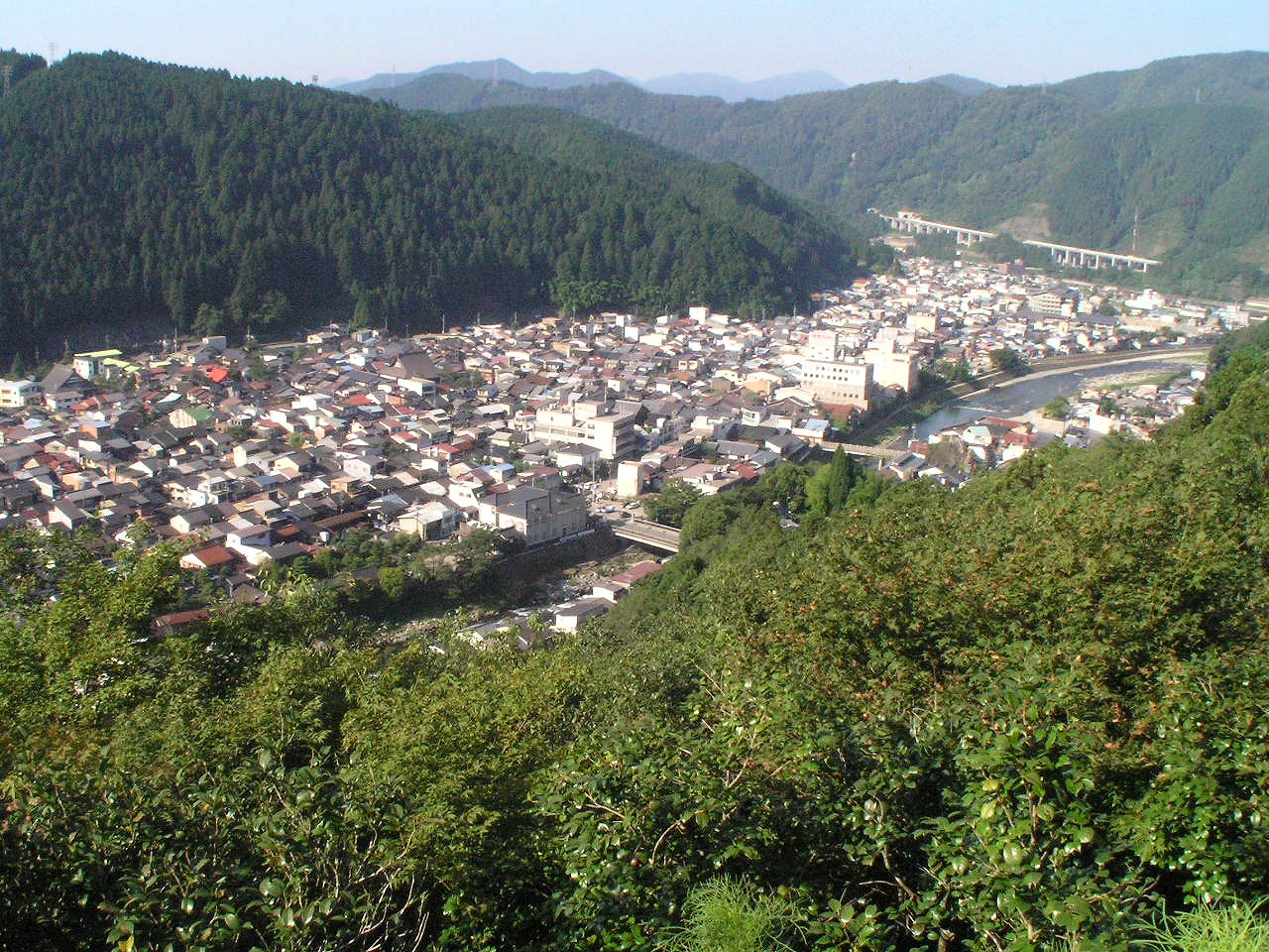 Spring-fed stone canals running through the streets of Gujo-Hachiman