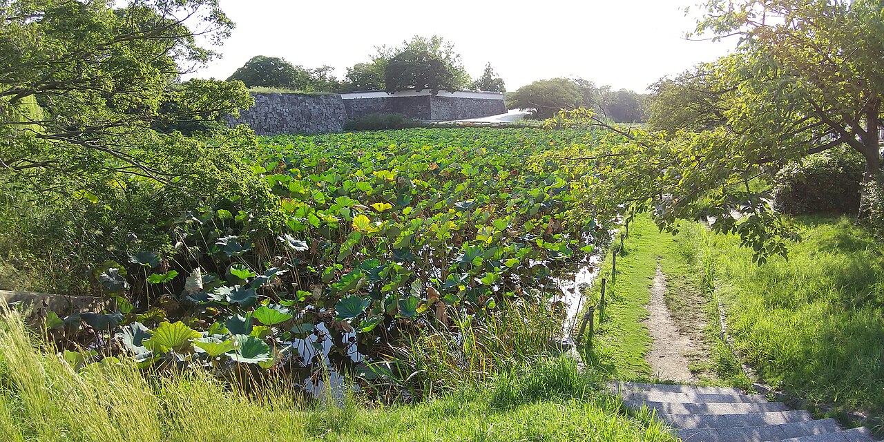 The moat and ruins of Fukuoka Castle, built by Kuroda Nagamasa