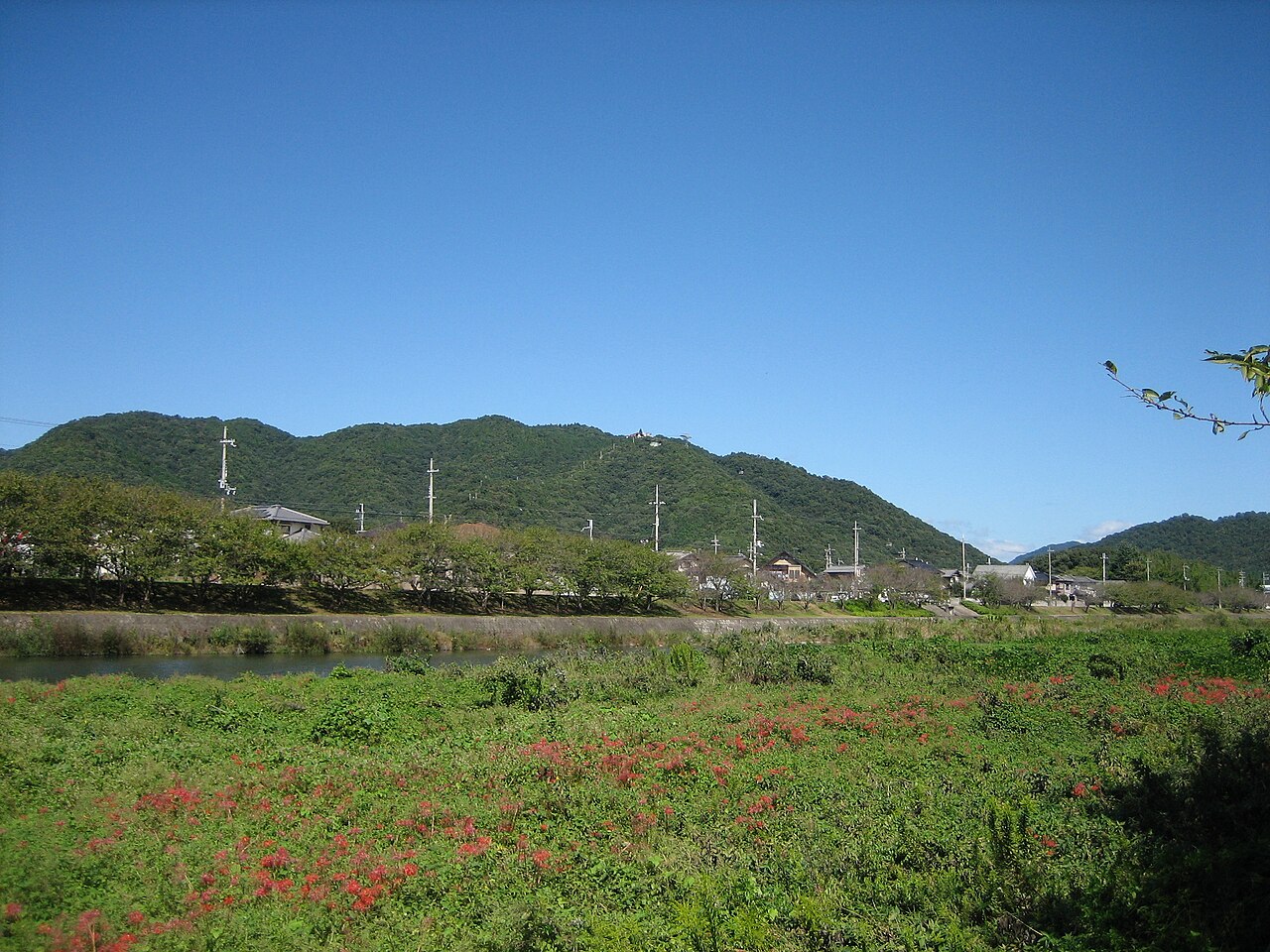 Forested ridge of Mt. Shosha above Himeji in Hyogo, source of timber for wood-turning crafts