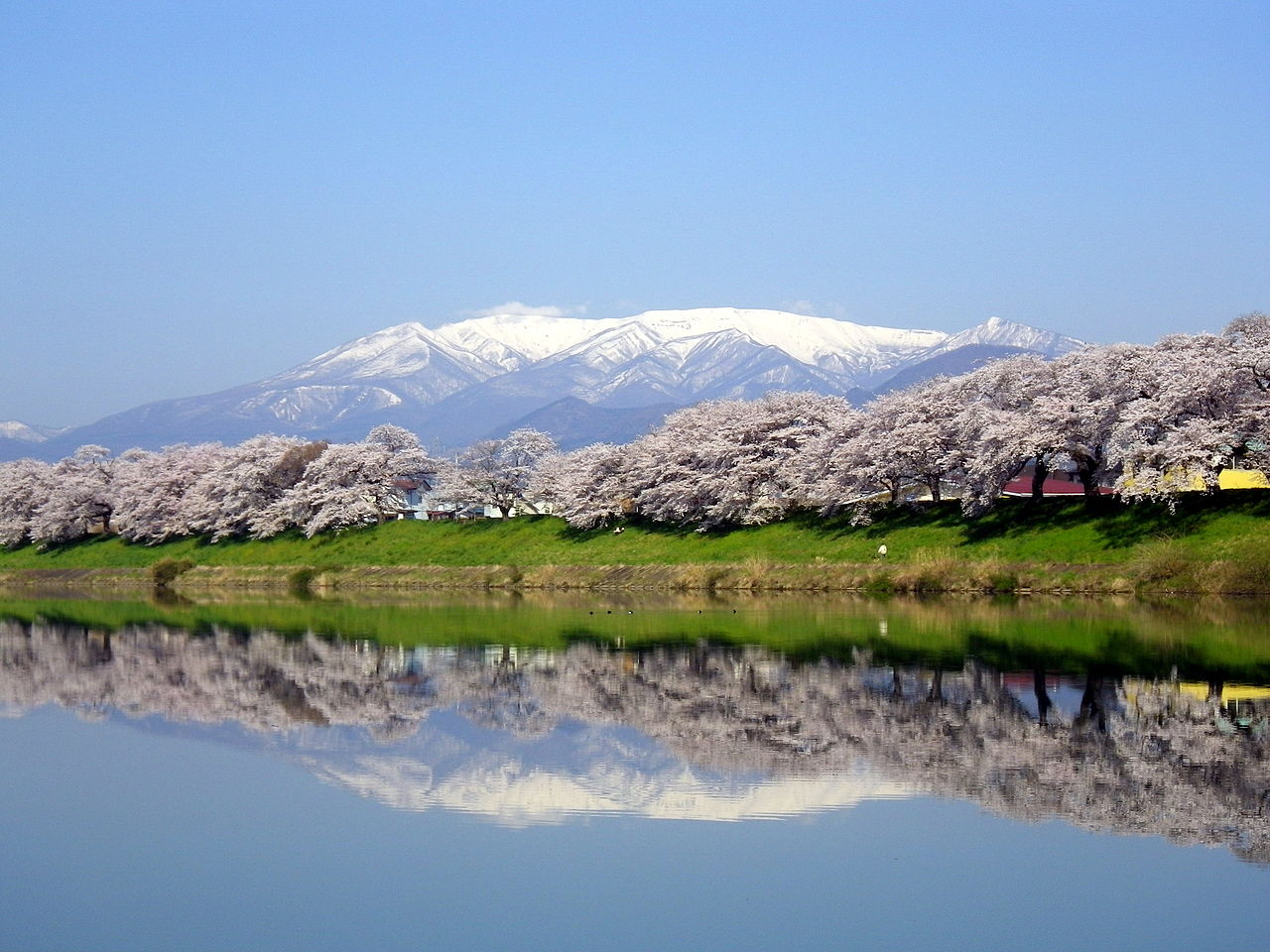 Mount Zaō with cherry blossoms, near Yamagata City
