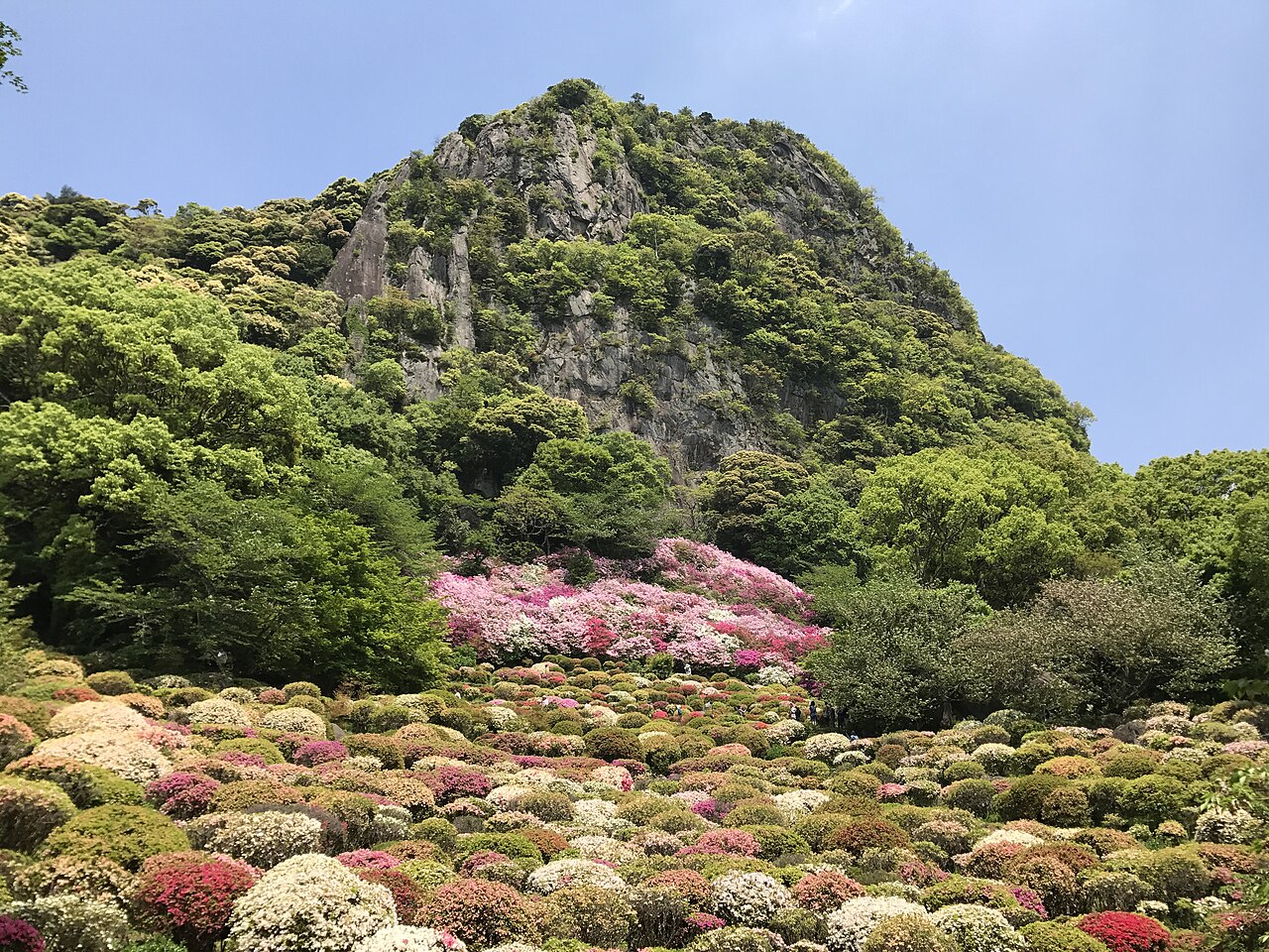 Azalea valley in Mifuneyama Rakuen garden below Mount Mifuneyama, Takeo, Saga