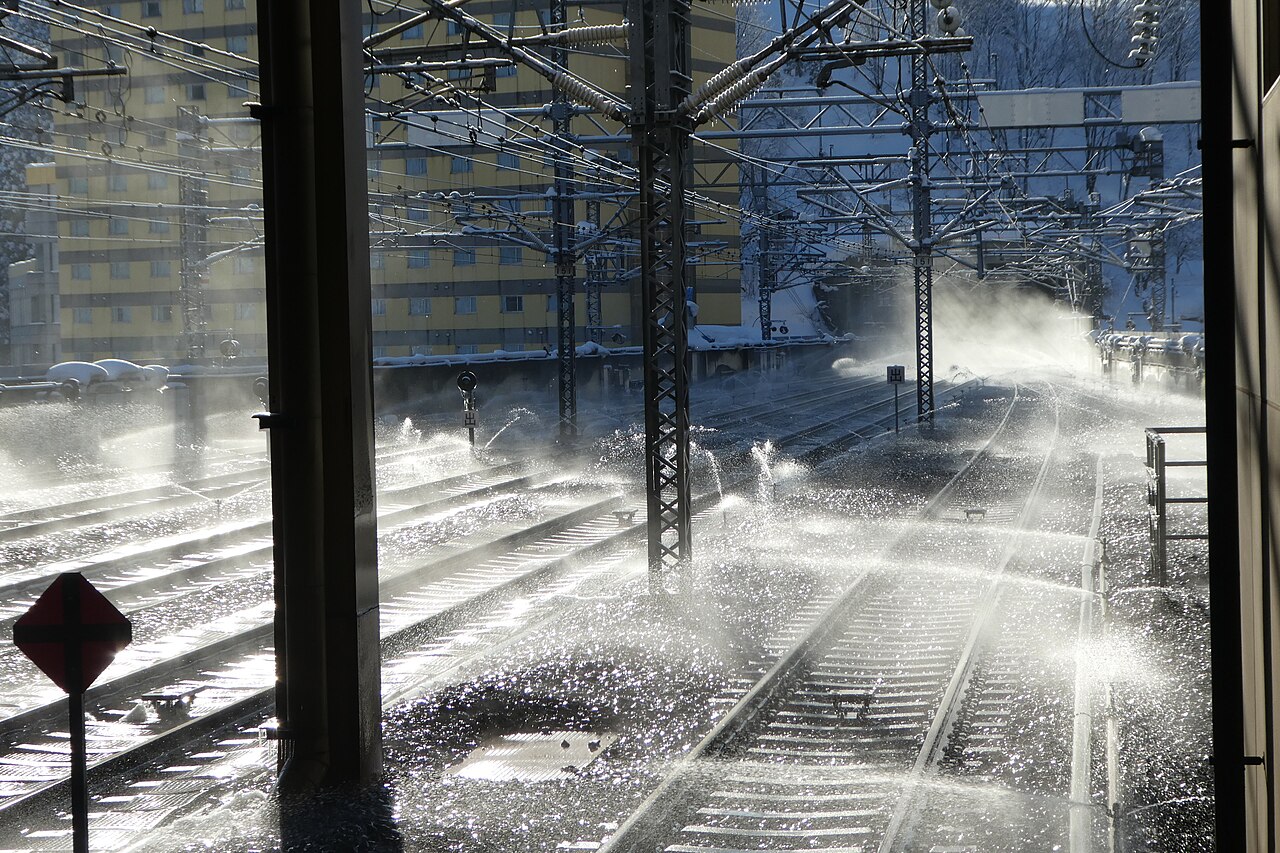 Heavy snow in Echigo (Niigata), the climate that made moisture-stable paulownia essential