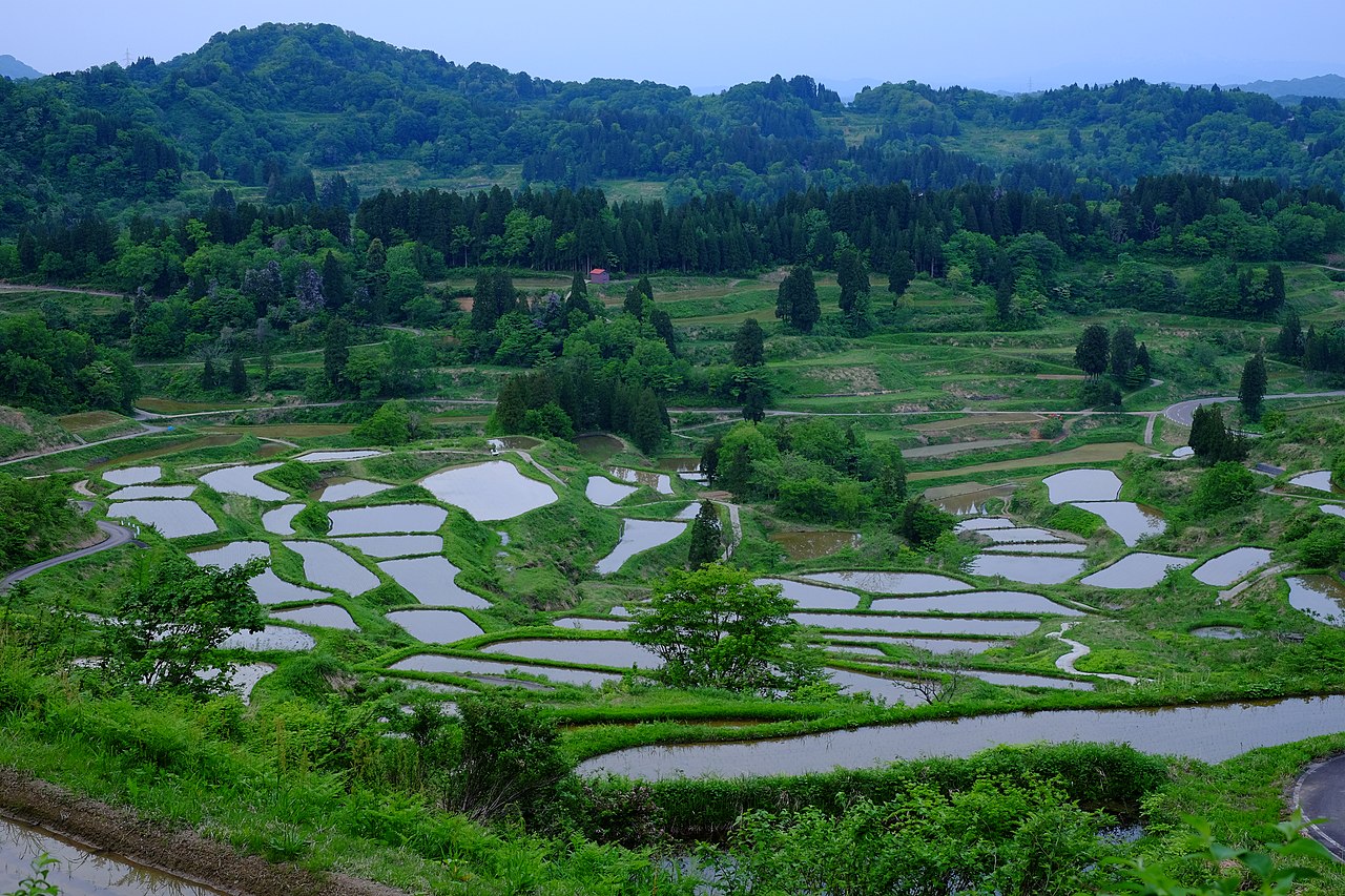 Hoshitoge rice terraces in Niigata, the rice-growing heartland the bin is built to store