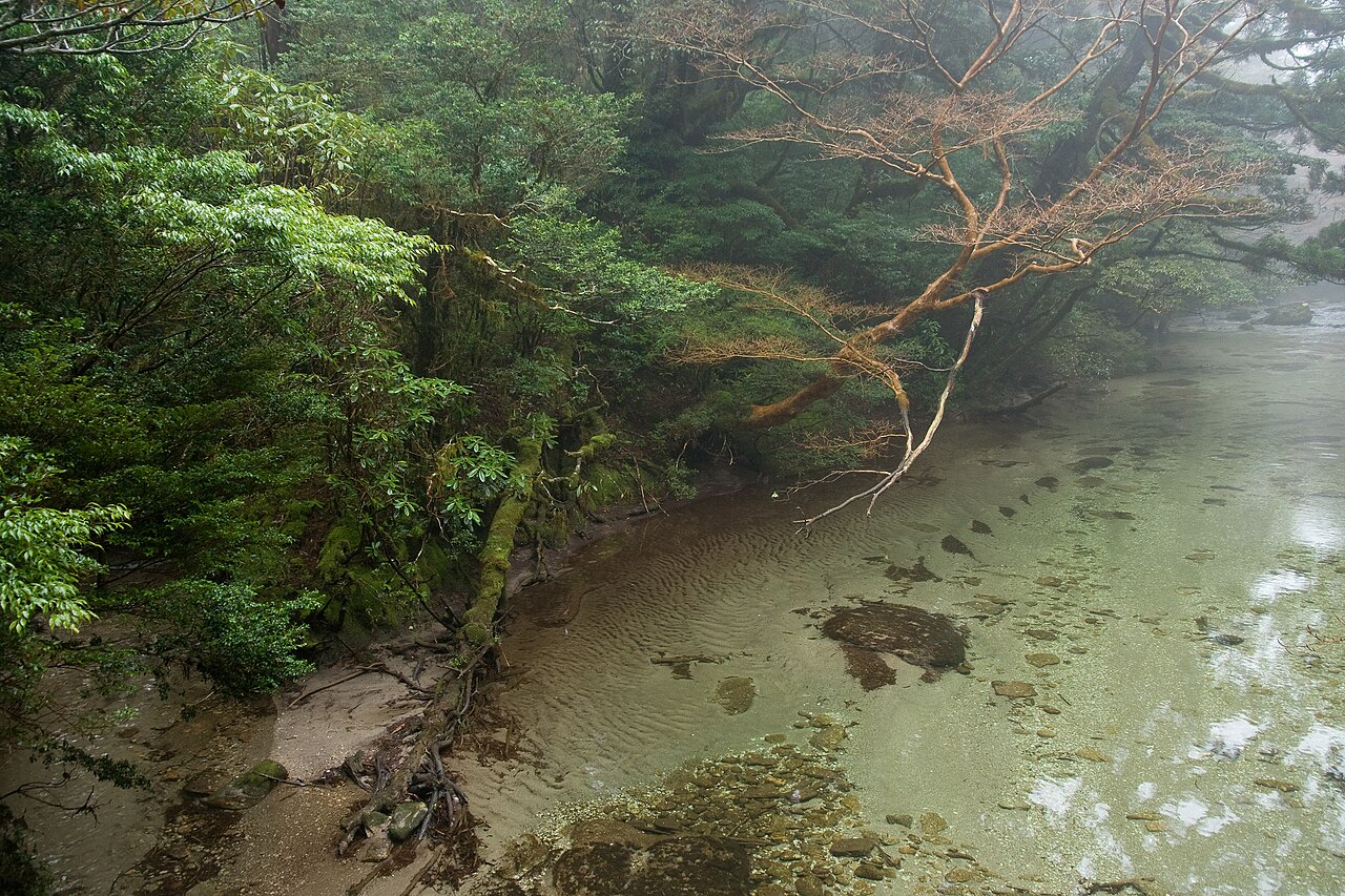 The Yodo River plain between Kyoto and Osaka