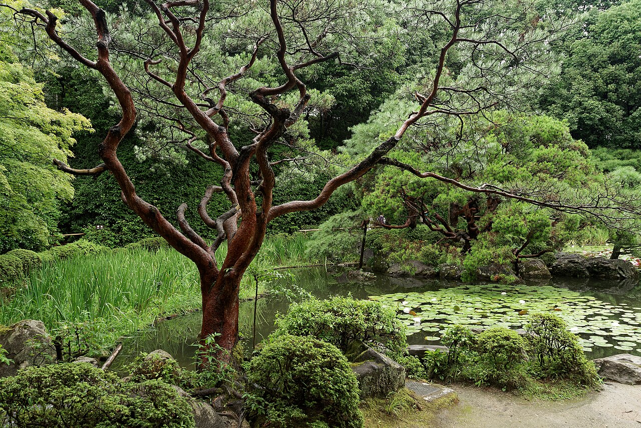 Garden of Heian Shrine in Kyoto