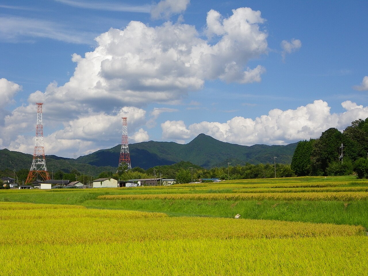 Mount Misen rising above Miyajima island, Hiroshima