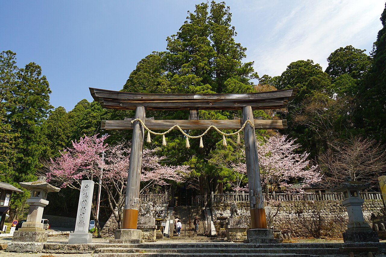 The towering cedar avenue leading to Togakushi Shrine in northern Nagano