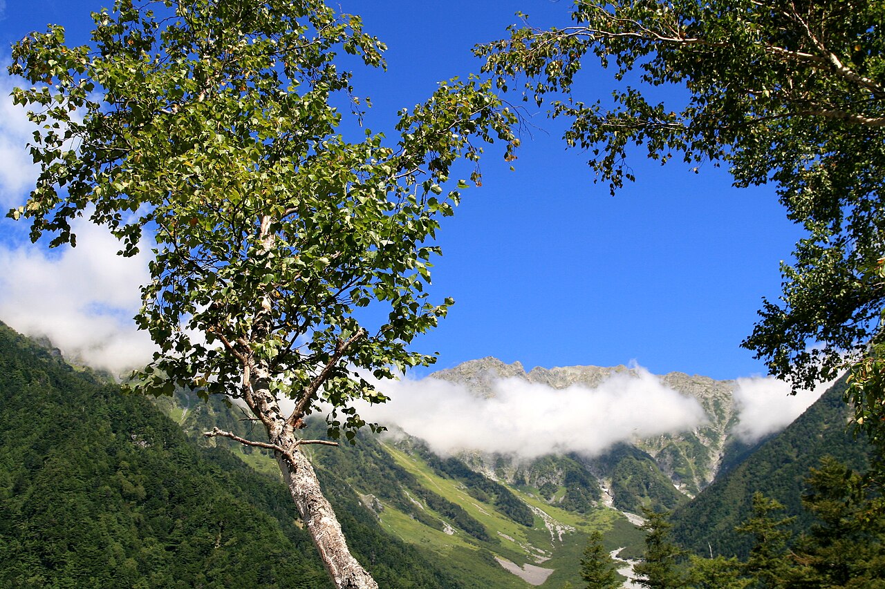 Forested mountains around Kamikochi in the Japanese Alps, Nagano Prefecture