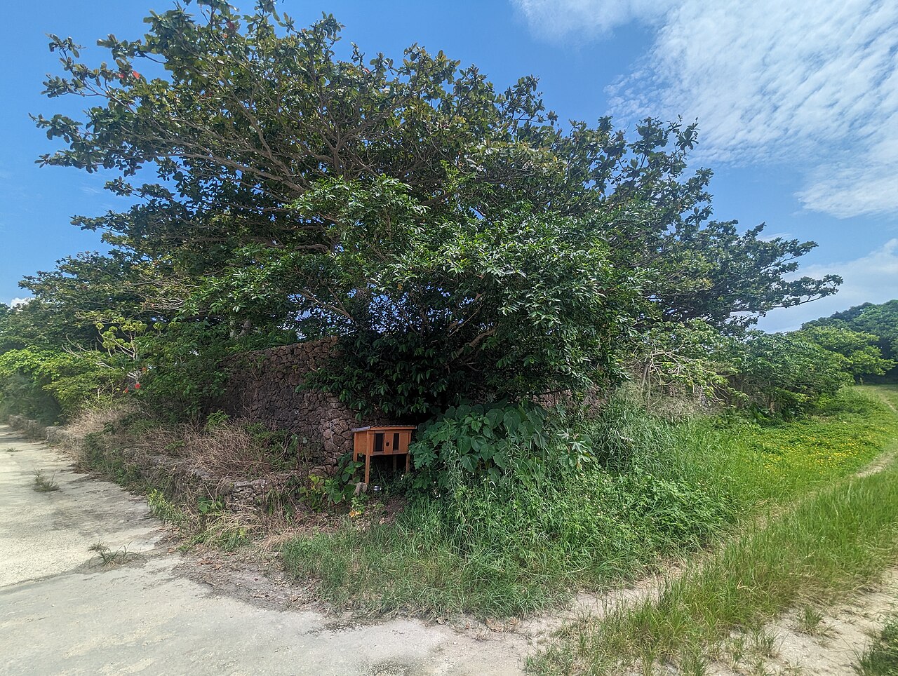 Red-tiled traditional village on Taketomi Island, Yaeyama