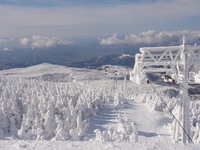 Snow-covered 'snow monster' trees (juhyo) on Mount Zao in winter