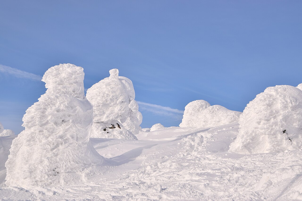 Snow-encrusted 'snow monster' trees on Mt. Zao in Yamagata during winter